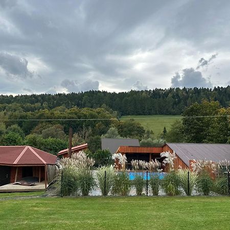 Villa U Źródeł Strwiąża Ustrzyki Dolne Exterior foto