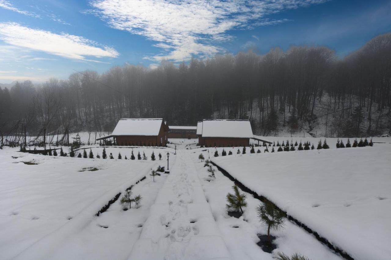 Villa U Źródeł Strwiąża Ustrzyki Dolne Exterior foto