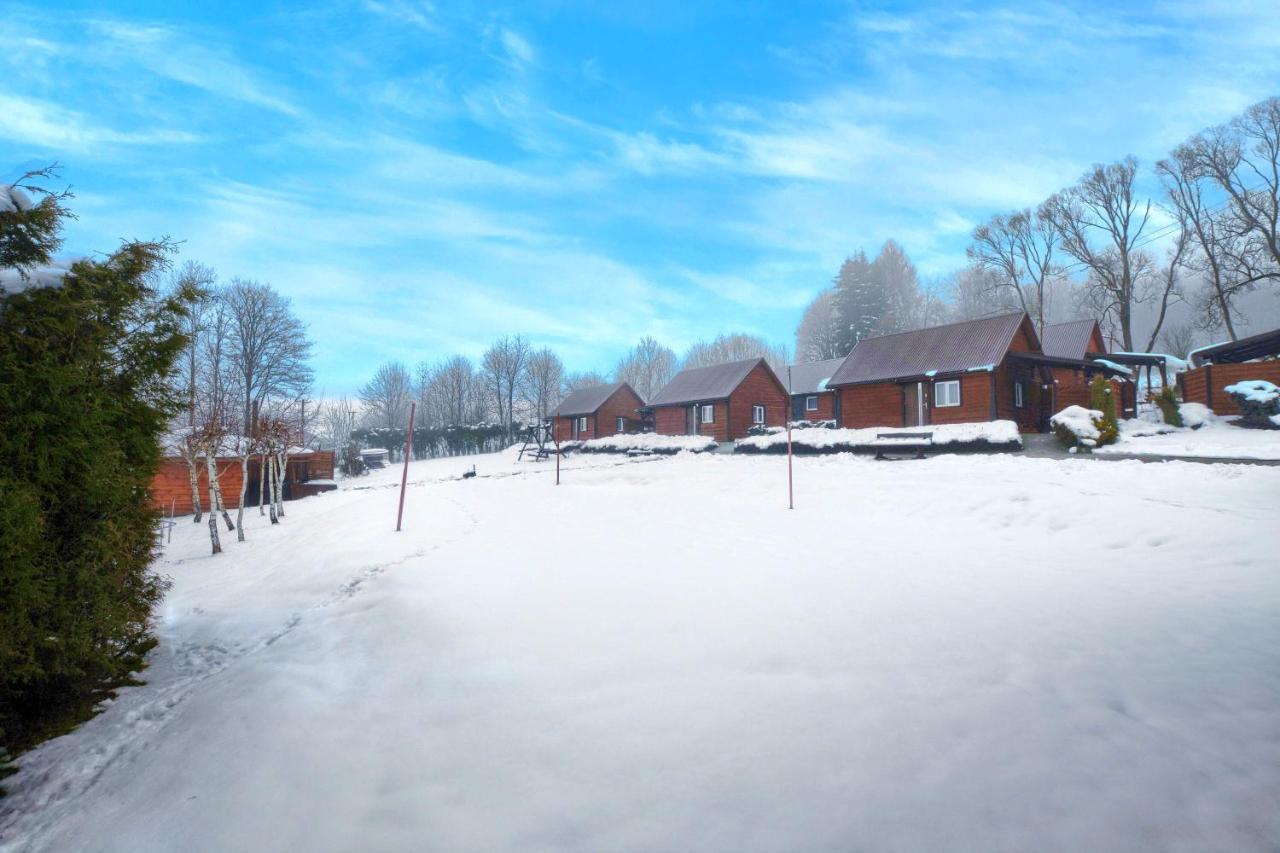 Villa U Źródeł Strwiąża Ustrzyki Dolne Exterior foto