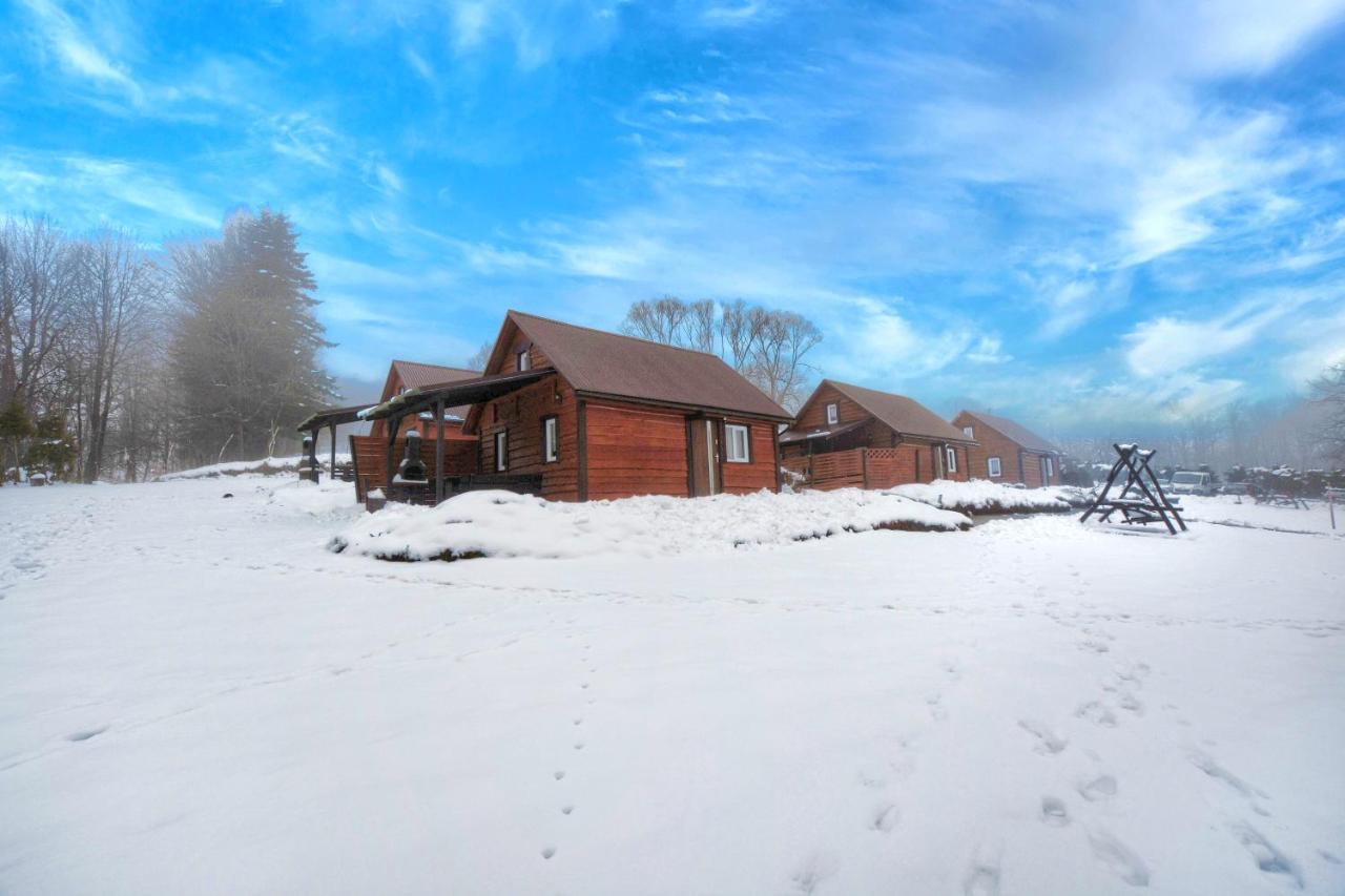 Villa U Źródeł Strwiąża Ustrzyki Dolne Exterior foto
